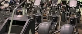 Row of cardio machines including treadmills and ellipticals at Falmouth Sports Center